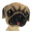 Bobblehead Dog Ornament Resin 1 Piece 7