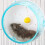 Hamster Exercise Wheel Non-Slip Quiet 12cm 7
