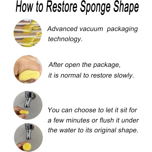 Round Sponge Brush Set Assorted Sizes 10 Pcs 2