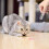 Rechargeable Cat Toy with 7 Patterns and Red Dot Light – 2