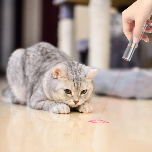 Rechargeable Cat Toy with 7 Patterns and Red Dot Light – 1