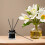 100Pièces Bâtons Diffuseurs Fibre Pour D’ambiance 5