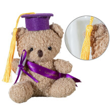 Stuffed Bear Toy Graduation Souvenir 1 Piece