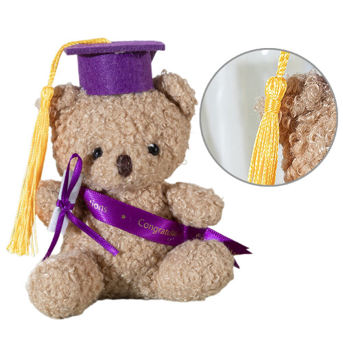 Stuffed Bear Toy Graduation Souvenir 1 Piece
