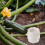 Plastic Worm Tower Compost Bin for Home Kitchen Waste Composting 5