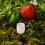 Plastic Worm Tower Compost Bin for Home Kitchen Waste Composting 6