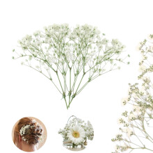Mini White Dried Gypsophila 50 pcs 2.36-3.15 in
