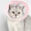 Breathable Ring Mesh Splicing Neck Ring for Cats - Ideal Licking and Biting Solution for Grooming 1