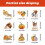 Fall window cling sticker for glass decoration 3