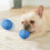 Interactive Vibrating Dog Ball Toy with LED Light and 5