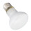 E27 UVA Wärme Lampe 50W Reptilien 1
