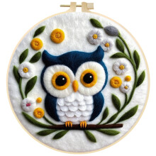 Kit de împâslire cu acul DIY pentru începători, set de pictură din pâslă de lână cu ace de lână inelare pentru broderie și instrucțiuni