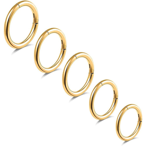 5 τεμάχια G23 Δαχτυλίδια μύτης τιτανίου 16G-20G με αρθρωτούς κρίκους κλικ, 6-10mm,