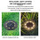 Solar Ground Lights Outdoor Disk 8 LED IP68 Waterproof 8