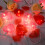 LED Heart String Lights Pink Red 10/20 Pack 6.5/9.8ft 2
