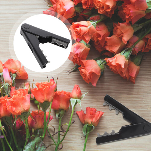 4Pièces Dispositif Flexible Noir Pour Épines Roses 2