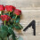 4Pièces Dispositif Flexible Noir Pour Épines Roses 4