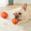 Interactive Vibrating Dog Ball Toy with LED Light and 4