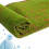 2Pièces Mousse Décorative Pour Salon Terrasse Bureaux 7