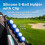 (Blue) 5-Ball Golf Bag Protector, Shockproof, Multicolor 2