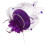 serre-tête violet bibi pour fête, léger 1