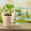 45 Eco Seedling Pots w/30 Labels 3