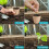 45 Eco Seedling Pots w/30 Labels 6