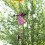 Windspiel-Engel aus Metall – Rosa, 1 Stück 3
