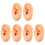 6Pièces Modèles Silicone Clair Pour Pratique Perçage 2