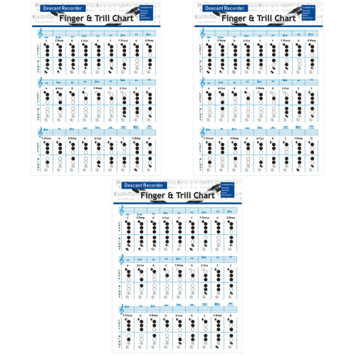 3St Beginners Akkoord Chart Voor Studenten Kleurrijk 2