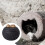 Dog Memorial Urn Black Desktop Ashes Keepsake 6