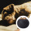 Dog Memorial Urn Black Desktop Ashes Keepsake 7