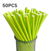 Pailles en papier biodégradables jetables pour boissons, desserts et gâteaux (50 pièces)