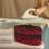 Handheld Steamer Storage Bag Portable Dustproof Bat Pattern 2
