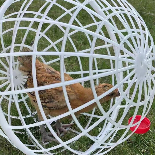 Plastic Chicken Ball Cage with Tunnels 2 pcs 20 cm 1