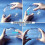 Transparent Plastic Small Bathtub Suitable for Hamsters Hamster Bathroom Hamster Sand Bath Mouse Box 5