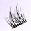 Reusable Self-Stick Black Eyelash Clusters 1