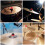 6PCS Plastic Quick Release Cymbal Nuts for Drum Kit Accessories Used in Stage Shows 3