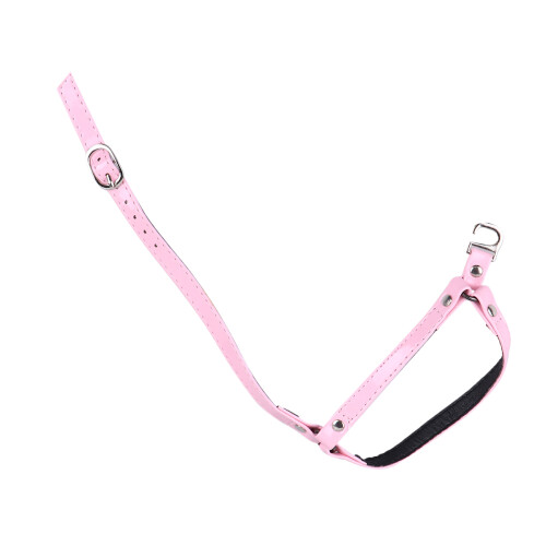 3Paren Roze Premium Straps Met Pasvorm 1