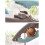 Walnut Cracker Tool with Non-slip Handle – for Walnuts, Pecans, Hazelnuts, Pistachios 5