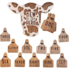 12 panneaux en bois en forme de vache pour marquer les étapes mensuelles de bébé (garçons et filles) – Accessoires photo pour nouveau-nés,