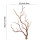 Décoration d'œufs de Pâques : brindilles et branches (1 lot) 3