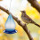 Bird Water Feeder Automatic Hanging Dispenser with Hook 5