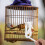 Bird Cage Feeder Bird Cuttlebone Holder White Abs 1 Set 8
