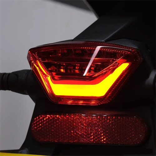 LED Tail light Rear Tail Lamp Assembly For SUR-Ron UltraBee