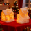Christmas silicone candle mold 2 pcs 5
