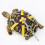 Adjustable Soft PU Leather Tortoise Harness & Leash with Bell for Dog Walking 1