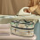 Handheld Travel Steamer Bag Portable Carrying Case for 2