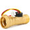 Messing waterdebietsensor voor Girard GSWH2-unit 1