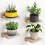 Houten wandvitrineset (4 stuks) 2